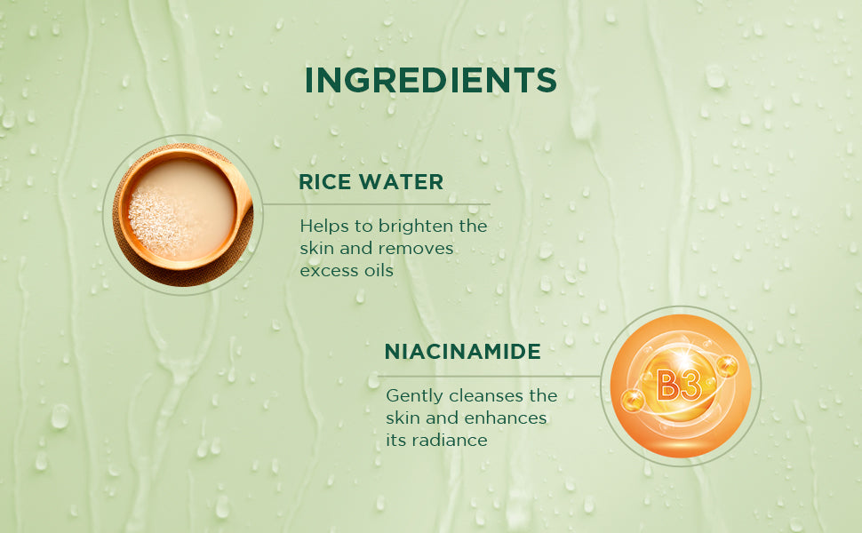 Biotique Rice Water & Niacinamide Gel Face Wash 100ml | iBellaa