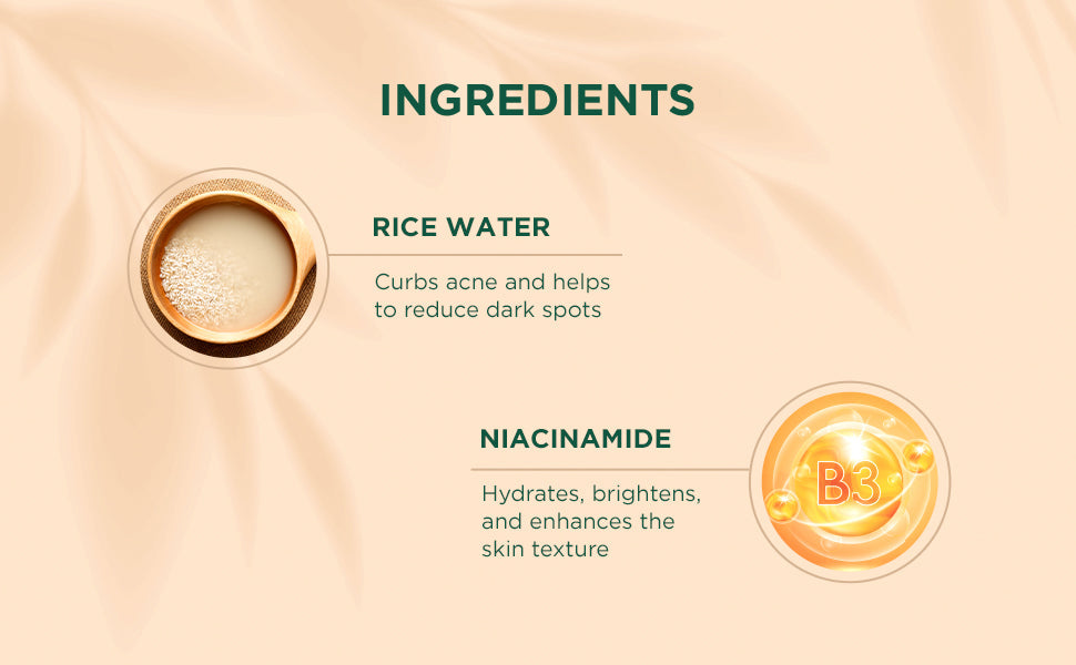 Biotique Rice Water & Niacinamide Gel Moisturizer 50ml | iBellaa