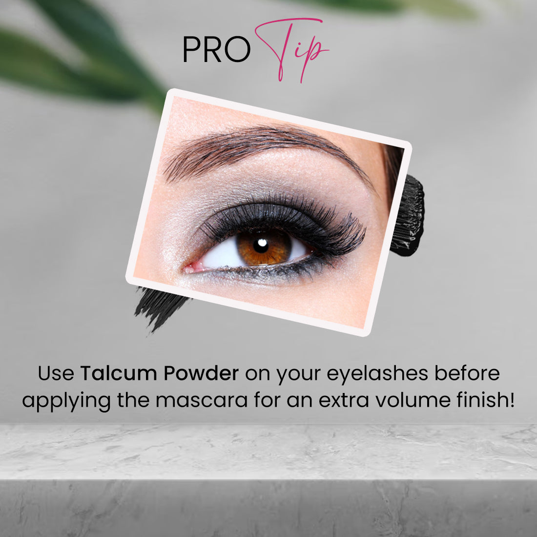 Coloressence Lashitude Mascara (Black) | 10 ml | iBellaa