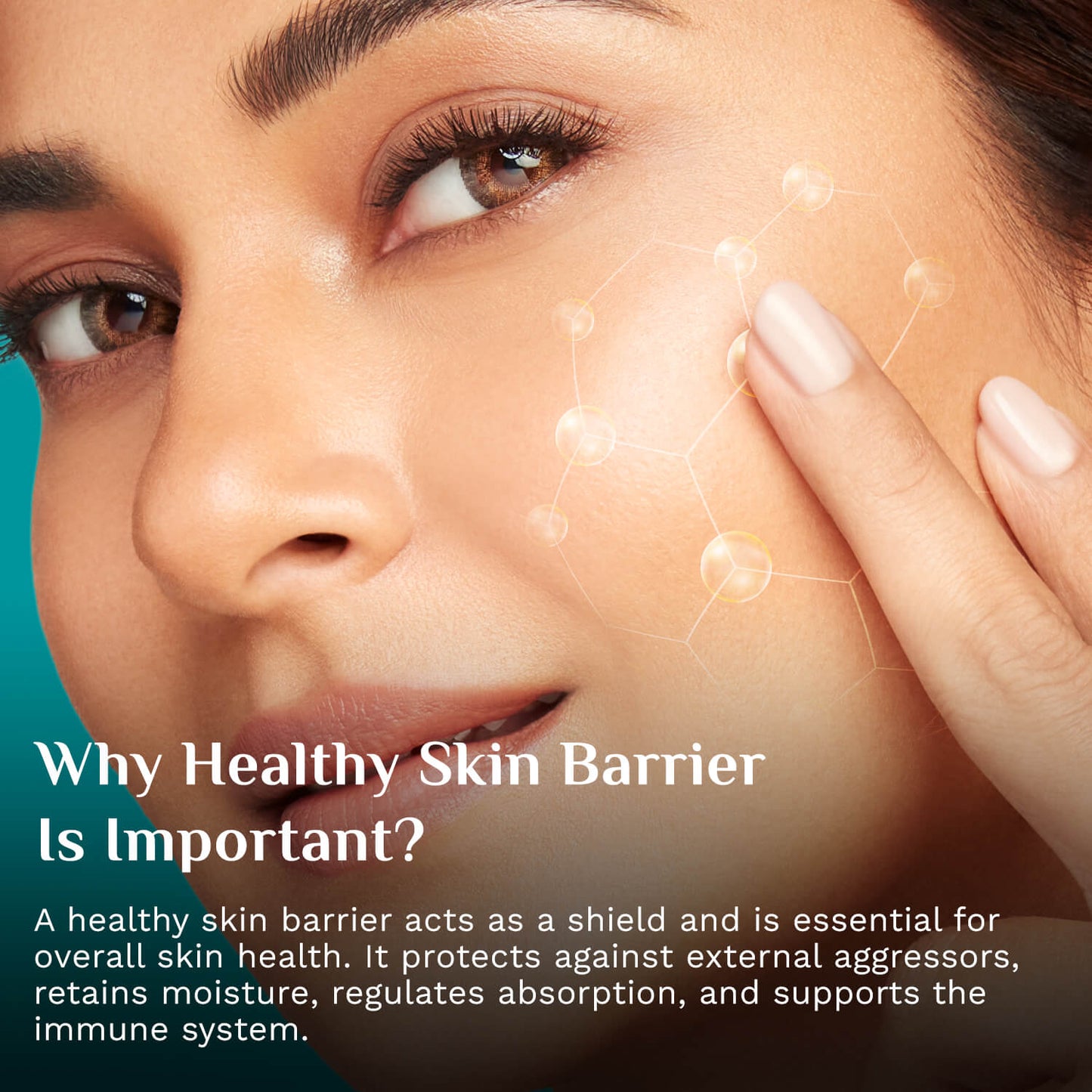 Pilgrim 5 Ceramides Barrier Repair Moisturizer | 100 g | iBellaa