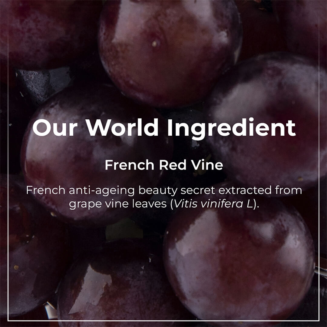 Pilgrim Red Vine Face Mask with Mulberry & Rosehip Oil | 100 g | iBellaa