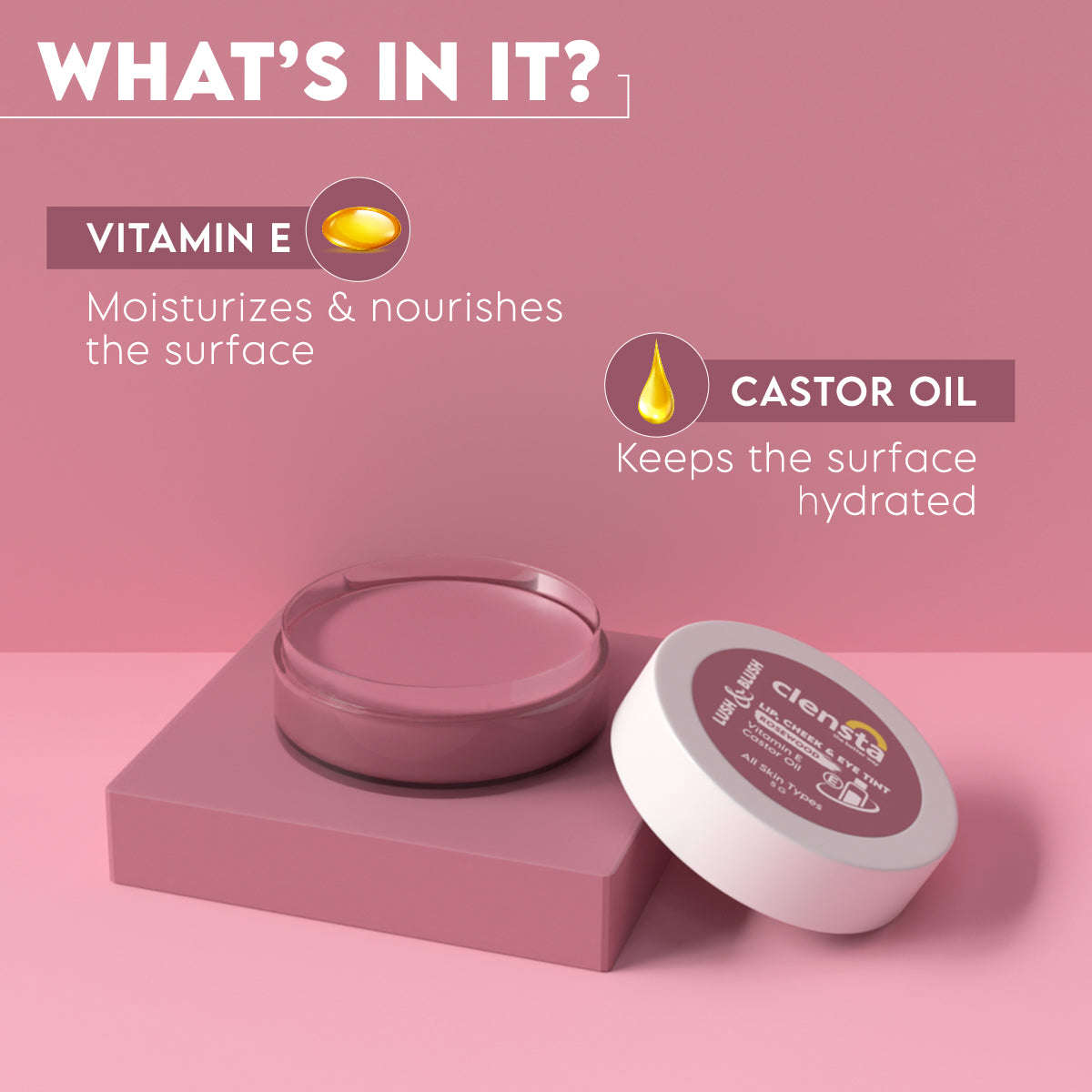 Clensta Lush & Blush Lip, Cheek & Eye 04 Tint Rosewood With Vitamin E & Castor Oil | 5 g | iBellaa