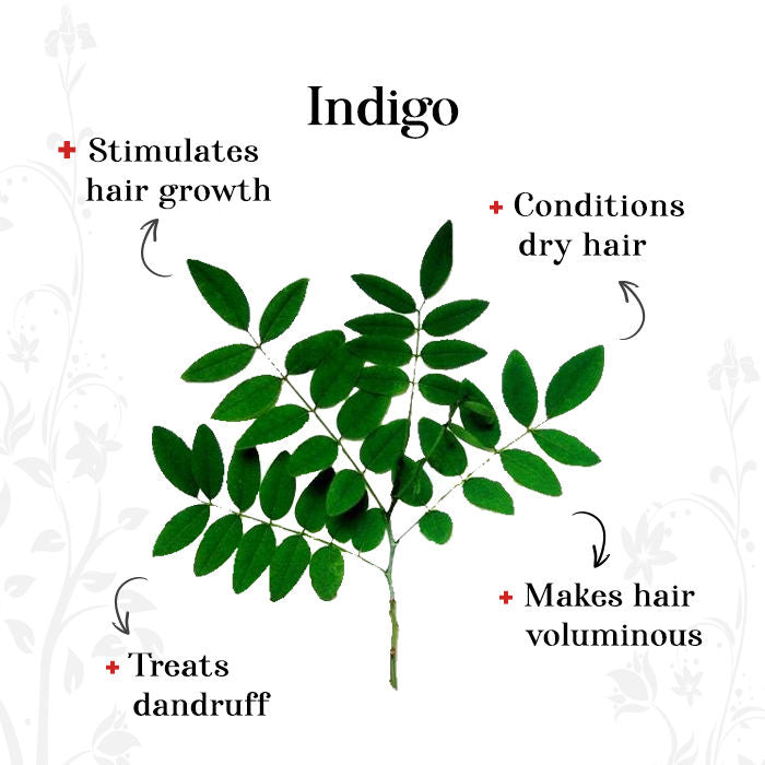 Alps Goodness Powder - Indigo (150 gm) | iBellaa