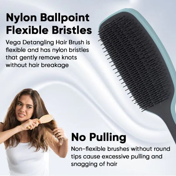 VEGA Detangling Brush - DTB-08 | iBellaa