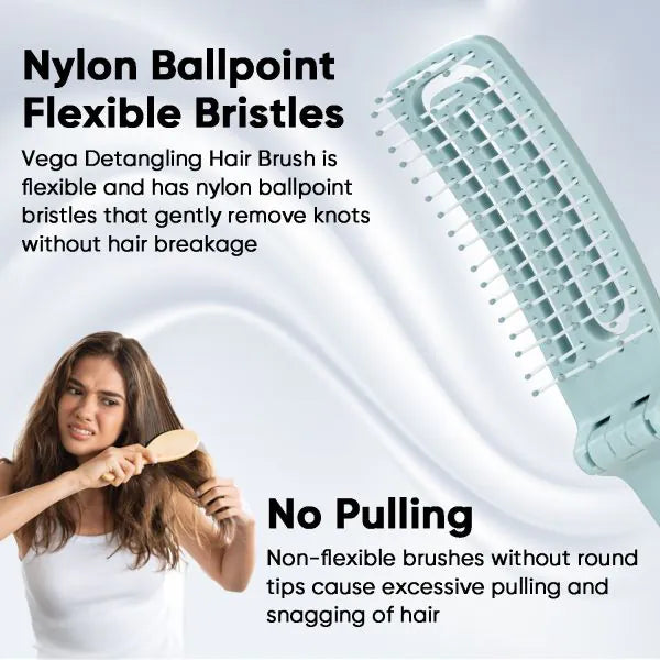 VEGA Detangling Brush - DTB-04 | iBellaa