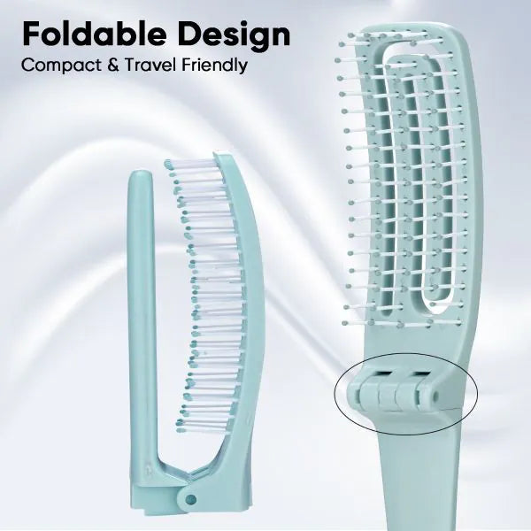 VEGA Detangling Brush - DTB-04 | iBellaa