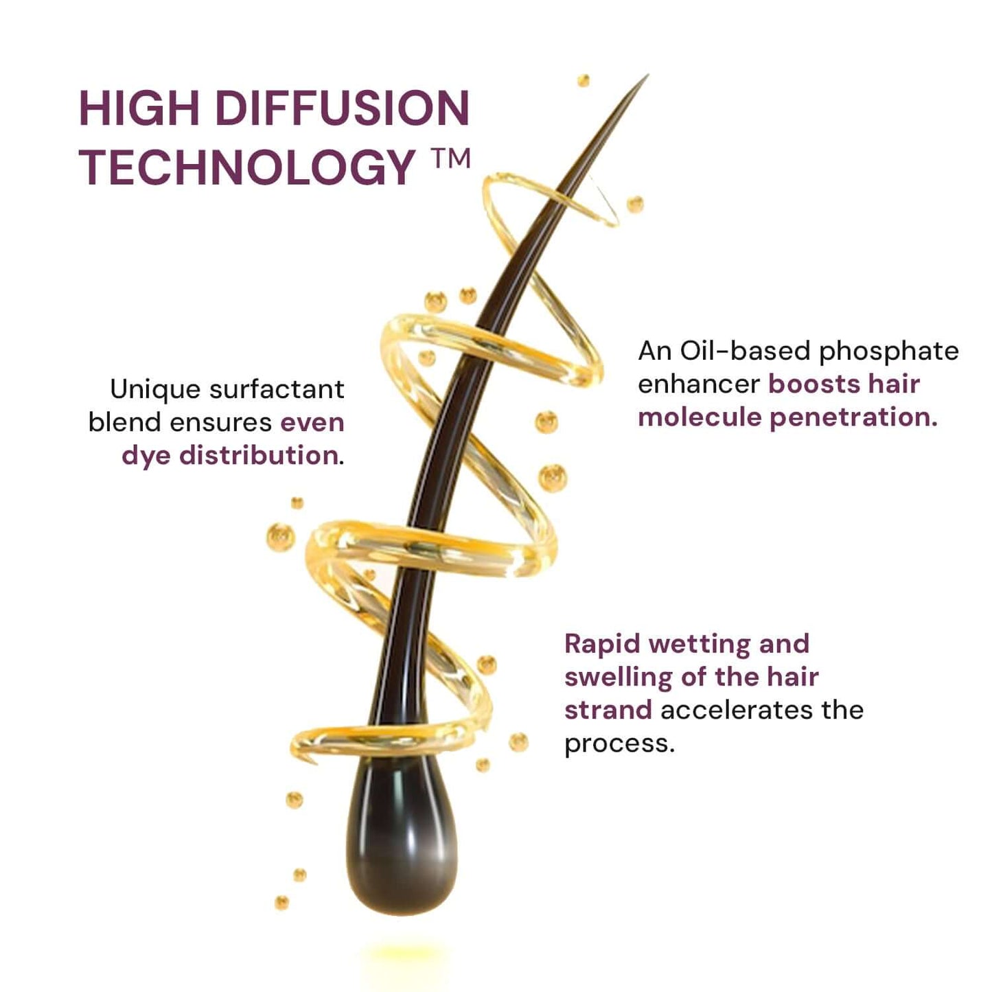 Raaga Professional Pro 10 Express Colour | 10 Minutes Permanent Hair Colour (Black 1) - 90 g | iBellaa
