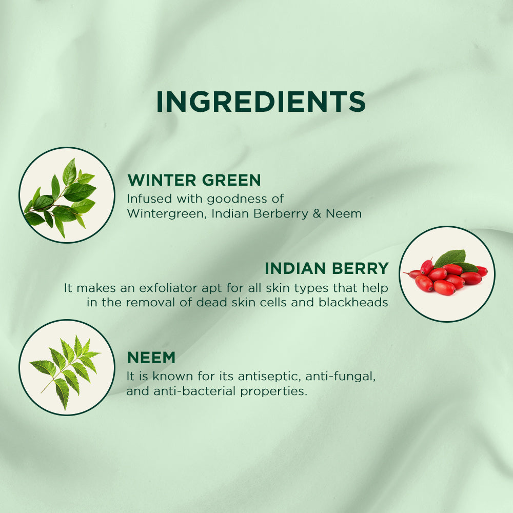 Biotique Winter Green Acne Control Spot Correction Cream 15g | iBellaa