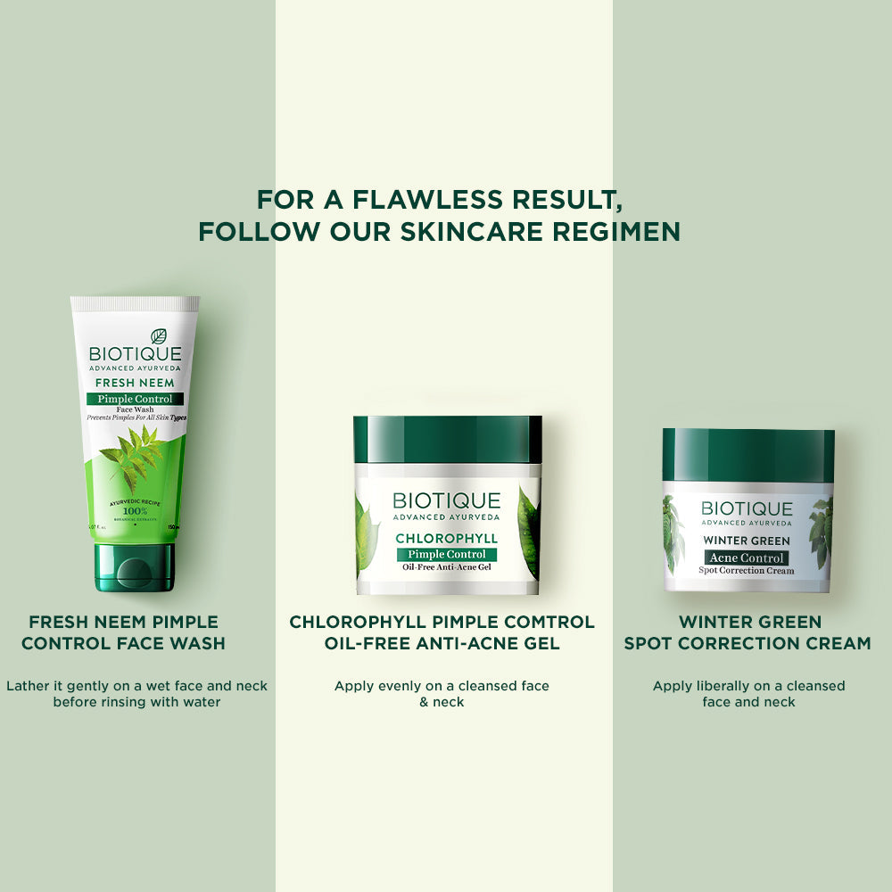 Biotique Winter Green Acne Control Spot Correction Cream 15g | iBellaa