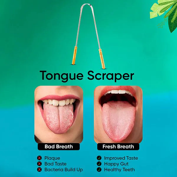 VEGA EasyGlide Tongue Cleaner (Metal with Handle) - TCM-01 | iBellaa